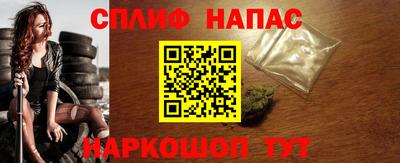 стаф Кинель