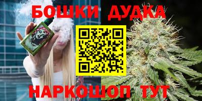 стаф Кинель