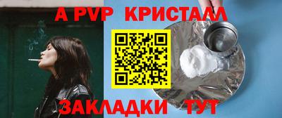 стаф Кинель
