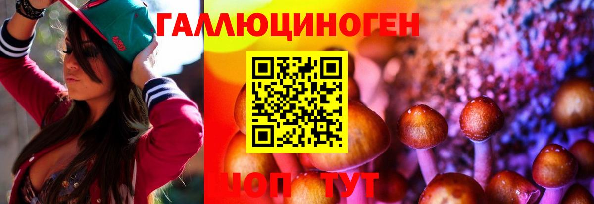 Юрга  Галлюциногенные грибы MAGIC MUSHROOMS  Галлюциногенные грибы Magic Shrooms  Вход с VPN 